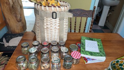 Photo of traditional medicines and books. 